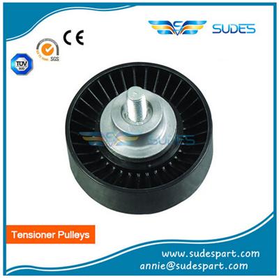 China Adjustable Belt Tensioner And Pulley Cars Parts 06B903341B