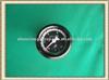 Water temperature gauge