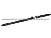 DN-C-W Simple 2 Points Seat Belt