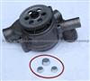 S60 Water Pump