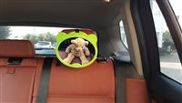 2015 Copyright car rear facing back seat baby mirror