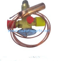 Thermo Expansion Valve