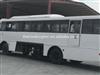 Qatar hot sale 66seats of tata sub engine ac