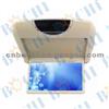 Fantastic Best Car Roof Mount DVD With Dome Light