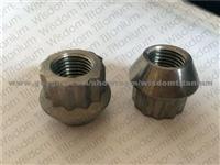 12 Point Titanium Lug Nut Wheel Nut