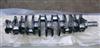 Crankshaft 51021016090