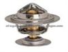 thermostat 14989