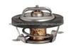 thermostat 13828