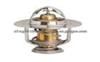 thermostat 45779