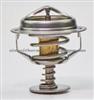 thermostat 14389