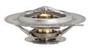 thermostat 14252