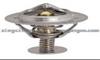 thermostat 14168