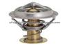 thermostat 14138