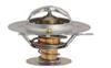 thermostat 13878