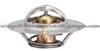 thermostat 13868