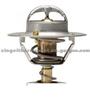 thermostat 13967