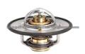 thermostat 14289