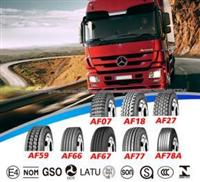 Tubeless Truck & Bus Tire TBR Tyre (12R22.5)