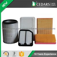 Auto Air Filter