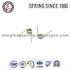 Automotive Transmission Torsion Spring