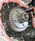 Toyota Hiace 3L Transmission Gear 5th GEAR For Gearbox Main Shaft - img2