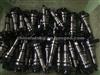 Diesel Plunger 2 418 455 734 2455-734