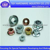 Hex Flange Nuts Iso 4161