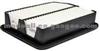 Air Filter 11109013-W01