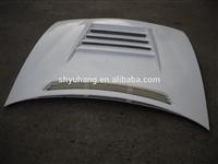 Glass fiber Dmax Hood for S14A FRP