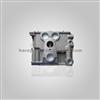 Diesel Engine Cylinder Head ZD30 AMC908796