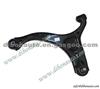 Santa Fe Front Lower Control Arm OEM 54500-2B500 545002B500