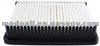 Air Filter 28113-1X000
