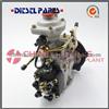 China Rebuild Diesel Fuel Injection Pump VE4/11F1900L002
