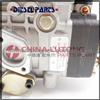 Fuel Injection VE Pump VE4-12F1900LNJ01 For Diesel Engine, Motor