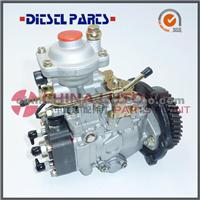 China Rebuild Diesel Fuel Injection Pump VE4/11F1900L002