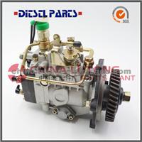 Fuel Injection VE Pump VE4-12F1900LNJ01 For Diesel Engine, Motor