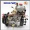 China Rebuild Diesel Fuel Injection Pump VE4/11F1900L002 - img4