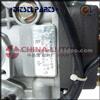 Diesel Fuel Injection Pump China VE4-11E1800L019