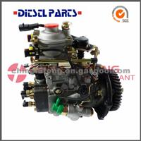 Diesel Fuel Injection Pump China VE4-11E1800L019