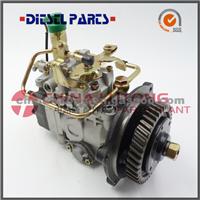 China Fuel Pump Of Diesel Engine VE4-11F1250L009