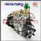 China Fuel Pump Of Diesel Engine VE4-11F1250L009 - img4