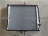 Radiator 1124113100002