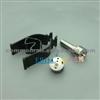 ERIKC 7135659 9308-621c Delphi Valve Plate,7135 659 Cr Jet Nozzle L097PBD For EJBR03301D Big Repair Kit 7135-659