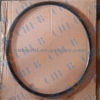 8619504 Flywheel Ring Gear 166T Hot Sale With High Quality