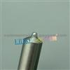 Erikc Car Parts Injector Nozzle 0433171616 , DLLA 145P926 Fountain Spray Nozzle DLLA145 P 926