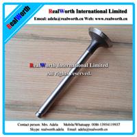 JMC Truck spare parts Exhaust valve T3142A051