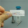 JMC Original Injector Nozzle L163PBD / L163 PBD For Injector EJBR03301D