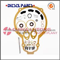 Fuel Injection Pump Repair Kit OEM NO.1 427 010 002-Agriculture Parts China