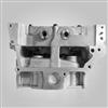 YD25 11039--EC00A Complete Cylinder Head For Nissan