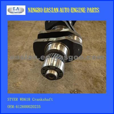 STYER WD618 Crankshaft,Small End,OE:612600020235